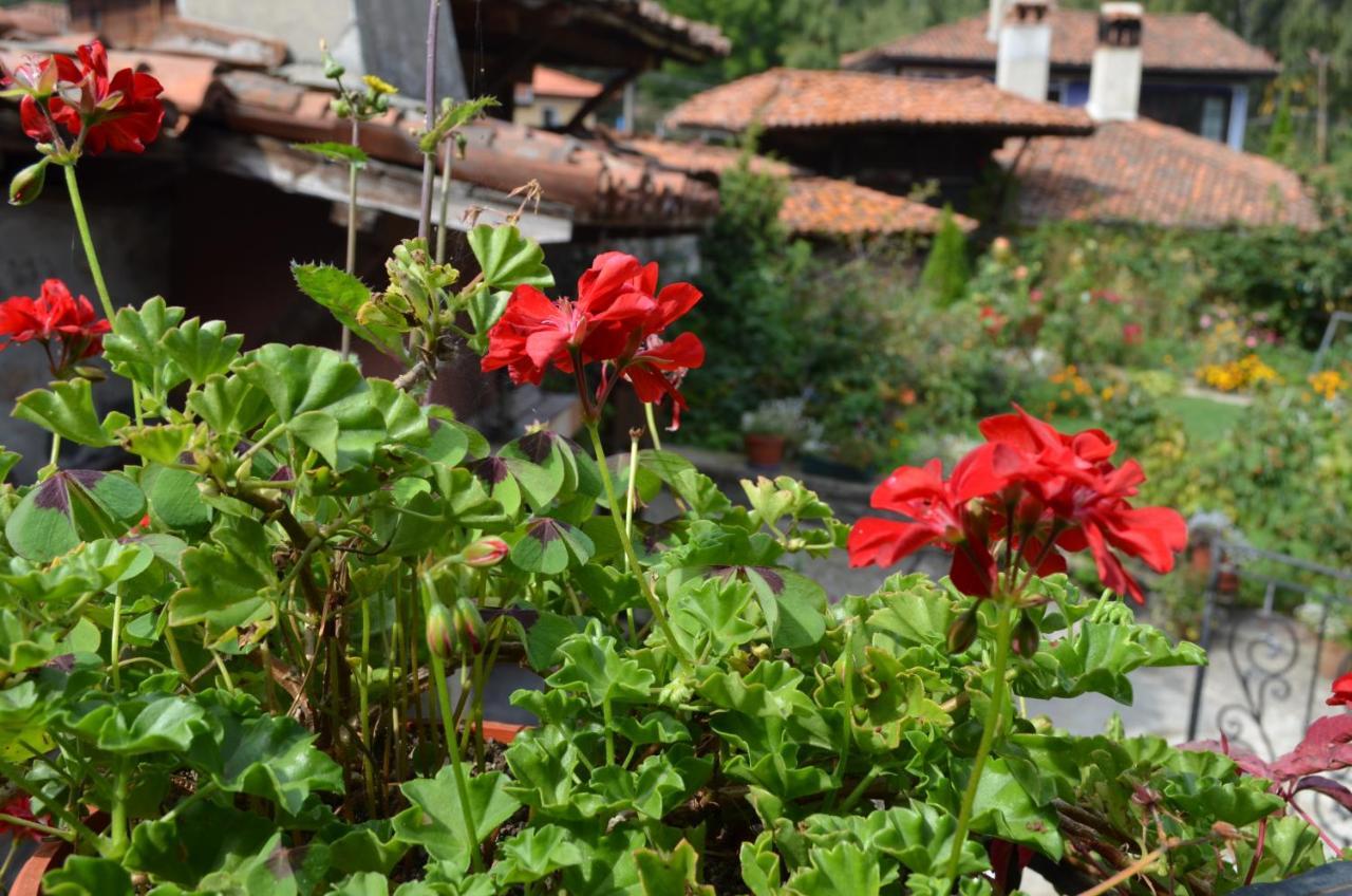 Guest House Zlatniyat Telets Koprivshtitsa Exterior photo